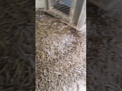 آسیاب گلوله ای عمودی پوسته برنج 5 تن/H دستگاه گلوله حلقه ای بیوماس با دستگاه بسته بندی