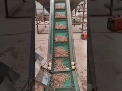 دستگاه گلوله چوب حلقه ای 50 هرتز دستگاه گلوله سازی عمودی 3 فاز 450-700 میلی متر