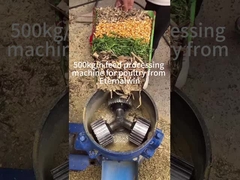 500 کیلوگرم/ساعت ماشین گلوله سازی مواد غذایی حیوانات ماشین پردازش مواد غذایی