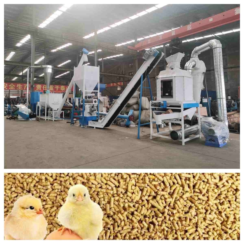 خط تولید گلوله خوراک CE 5t/H دستگاه گلوله خوراک حلقه ای با ژنراتور بخار