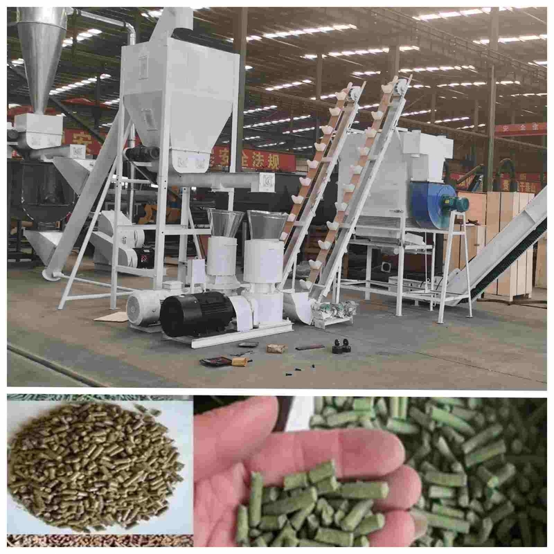 دستگاه گلوله سازی اتوماتیک طیور 2.5 میلی متری دستگاه گلوله سازی 2ton/H برای خوراک طیور