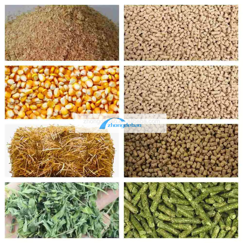 ماشین تولید مواد غذایی حیوانات نسل جدید ماشین گلوله مواد غذایی ماهی 90-120 KG / H کارخانه گلوله مواد غذایی