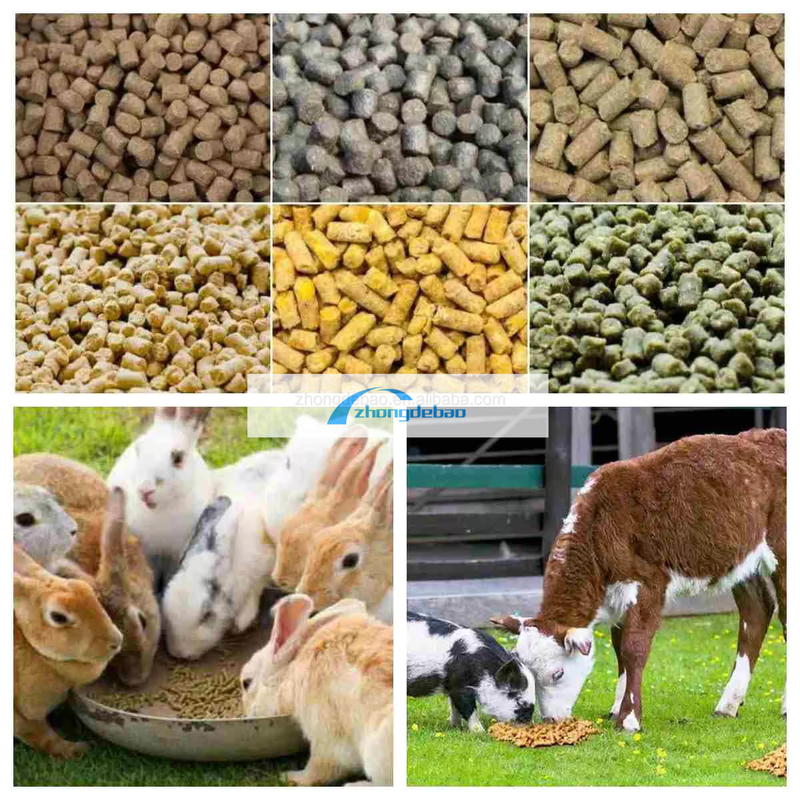 ماشین تولید مواد غذایی حیوانات نسل جدید ماشین گلوله مواد غذایی ماهی 90-120 KG / H کارخانه گلوله مواد غذایی