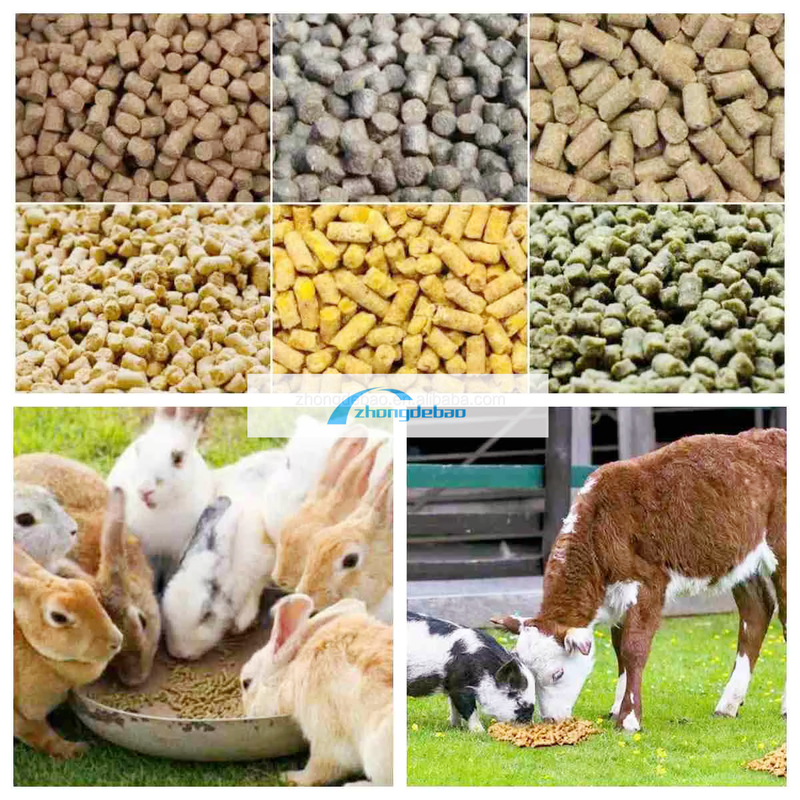 600-800 کیلوگرم/ساعت تولید ماهی کارخانه تغذیه حیوانات سگ و گربه مواد غذایی گلوله ای تجهیزات مواد غذایی extruder pelletizer ماشین