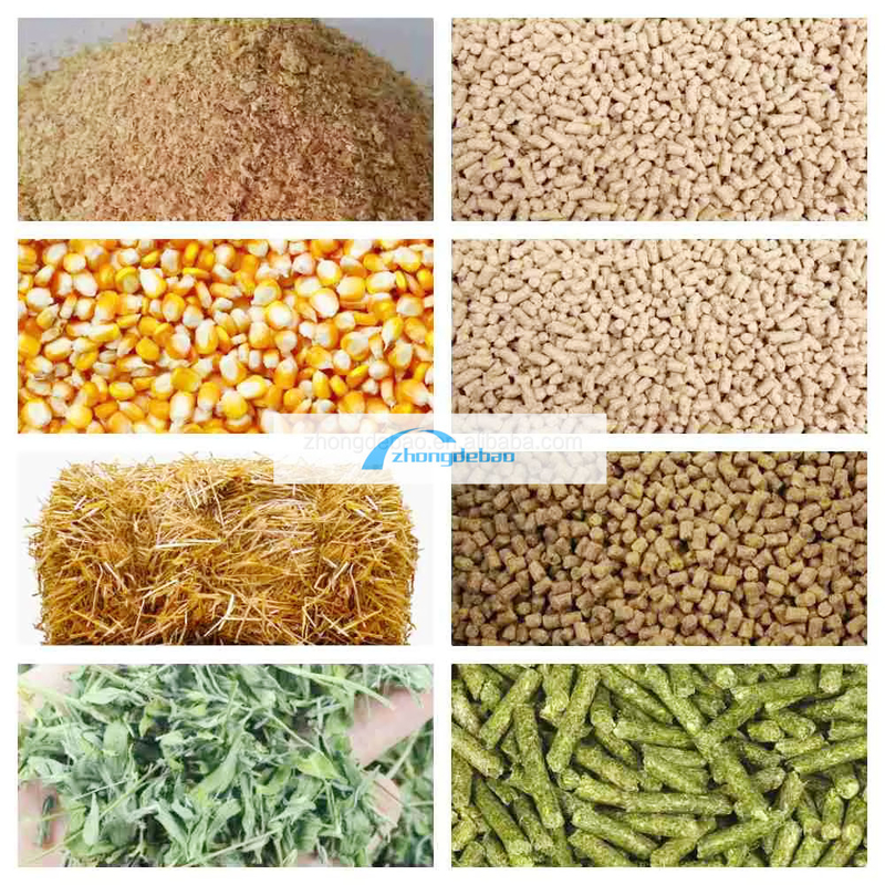 600-800 کیلوگرم/ساعت تولید ماهی کارخانه تغذیه حیوانات سگ و گربه مواد غذایی گلوله ای تجهیزات مواد غذایی extruder pelletizer ماشین