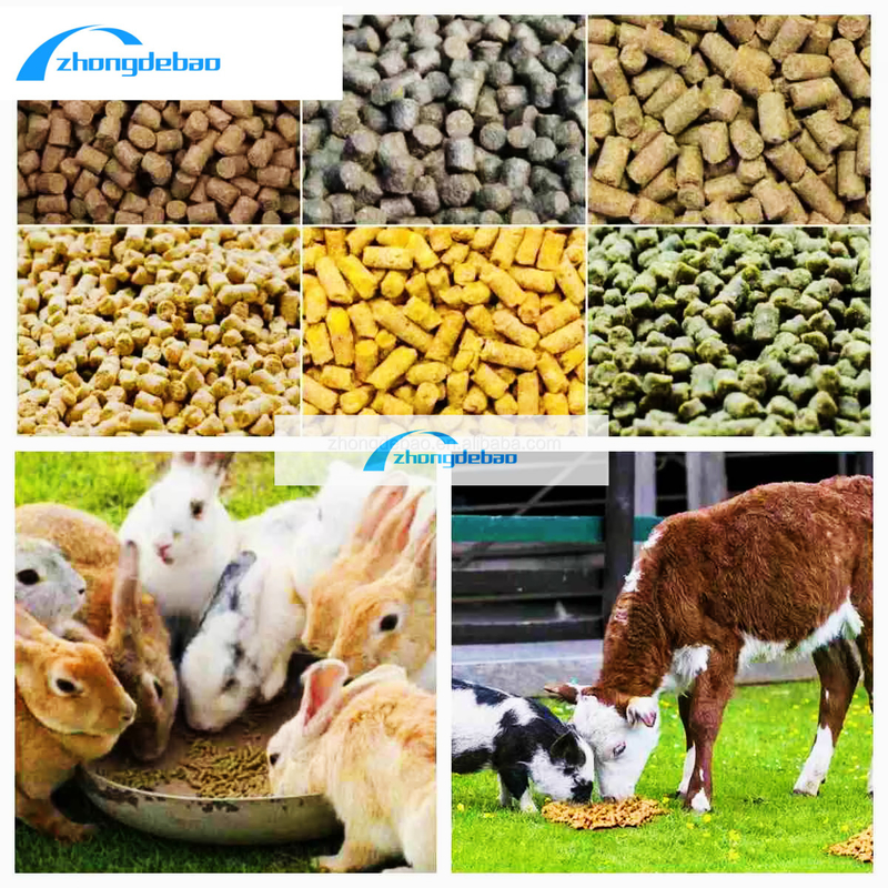 طراحی جدید 10HP دیزل نوع مواد غذایی گلوله ماشین 90kg/h مواد غذایی حیوانات آسیاب